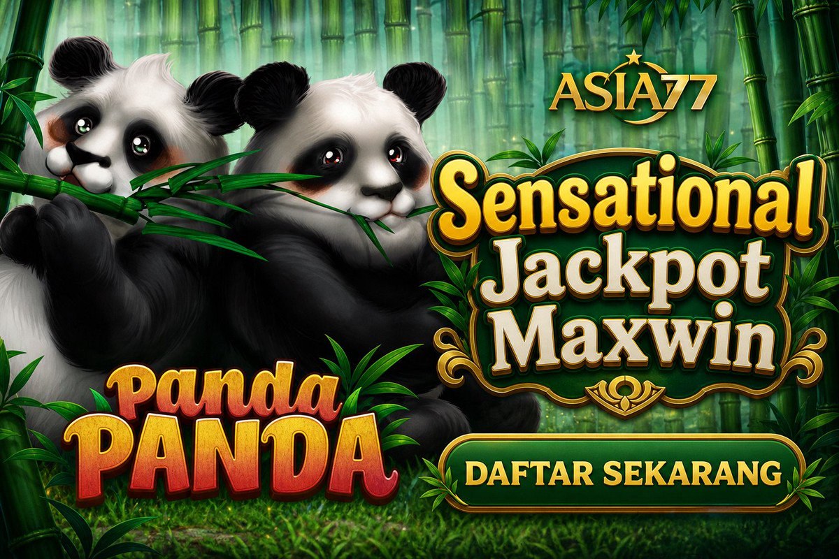 Panda Panda · ASIA77